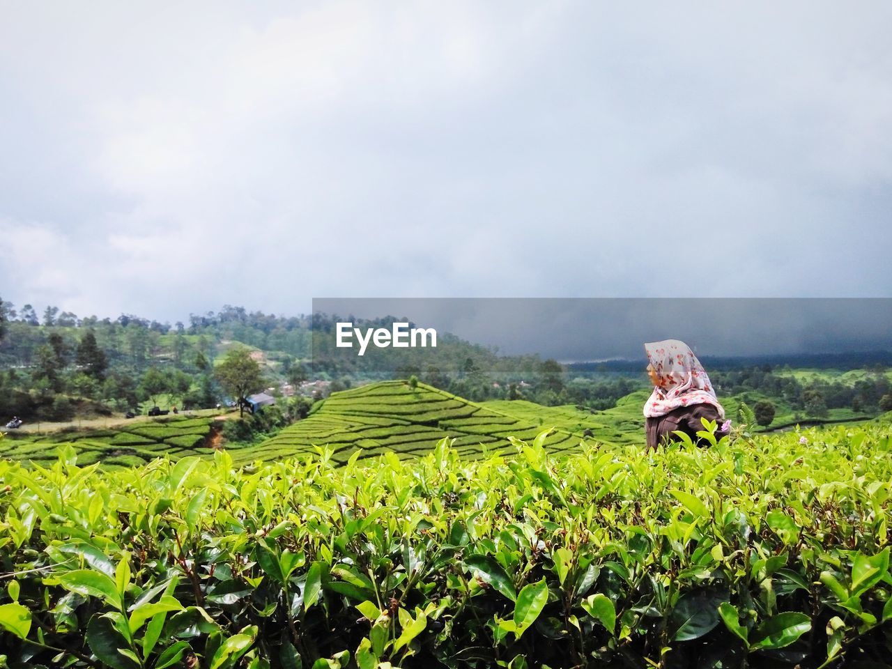 Woman looking away while standing against sky