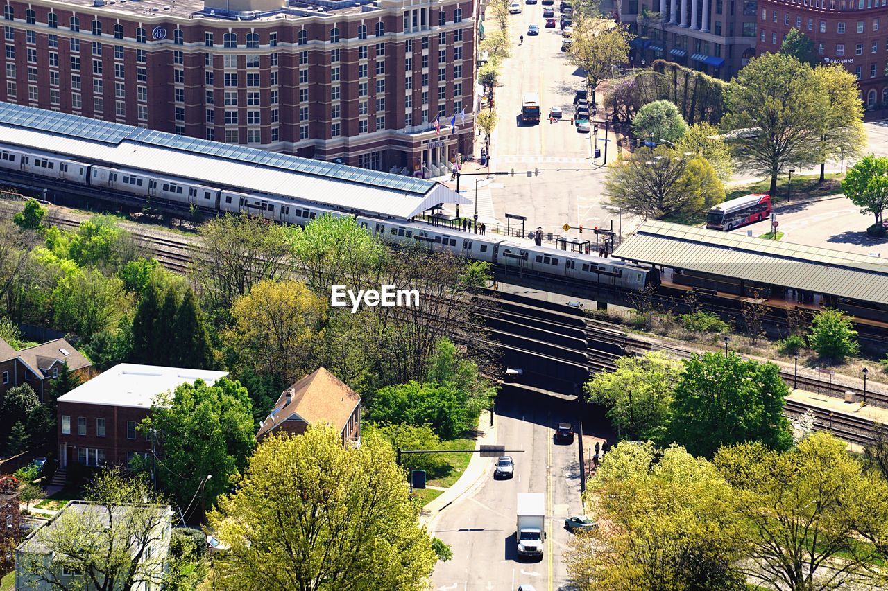 HIGH ANGLE VIEW OF TREES BY BUILDINGS IN CITY