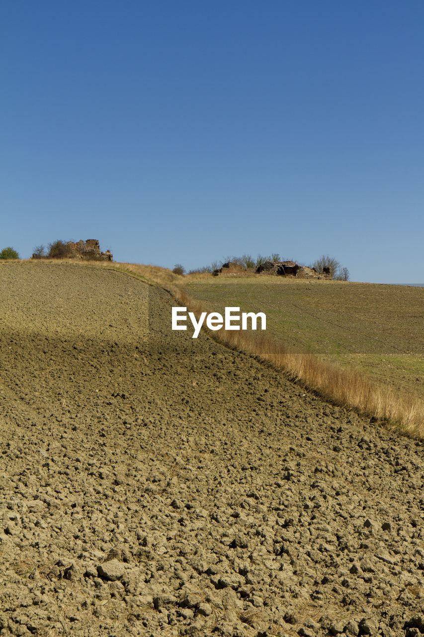 SCENIC VIEW OF FIELD AGAINST CLEAR SKY