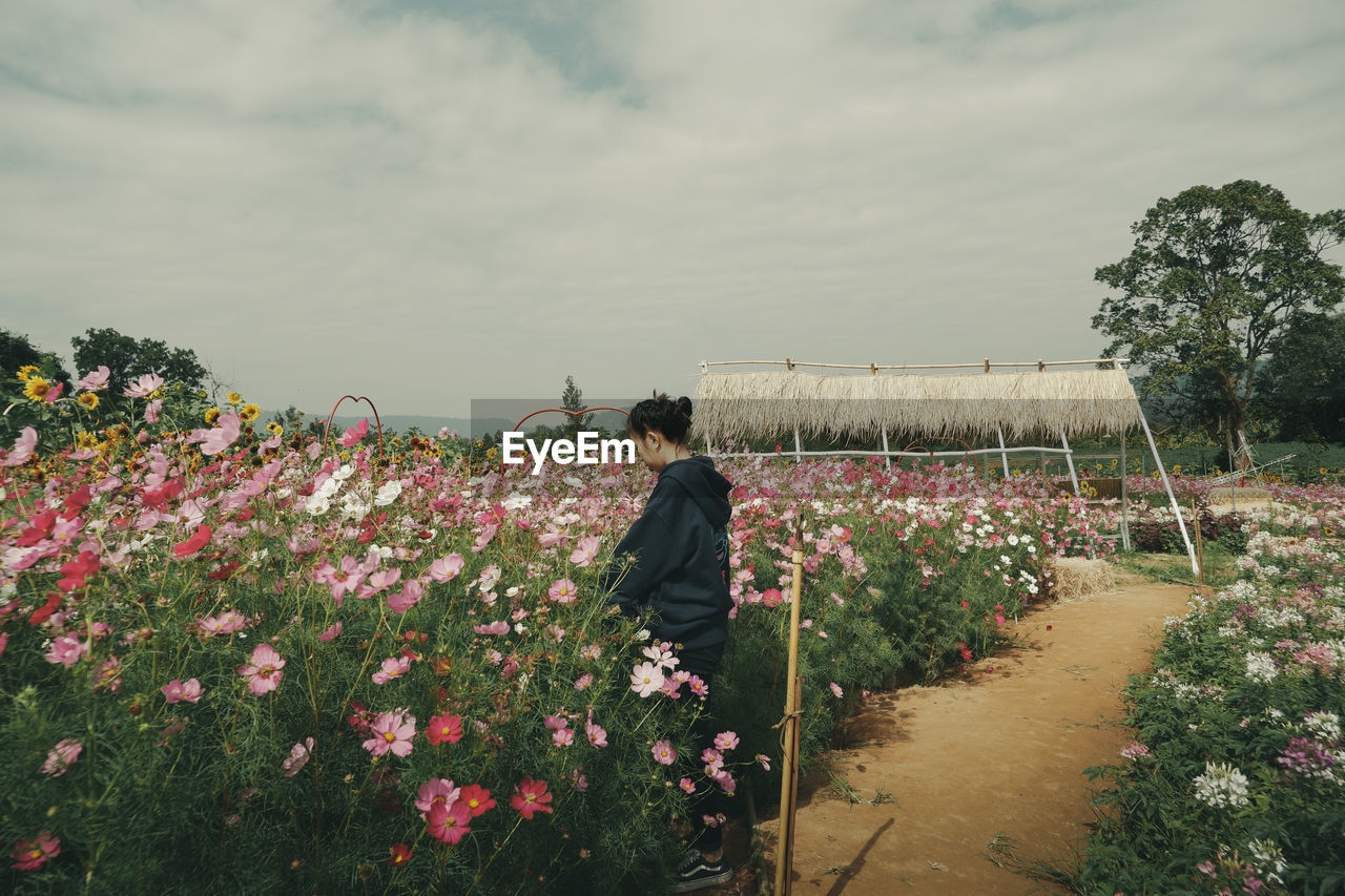 Young woman standing by flowering plants on field