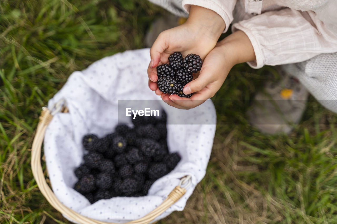 Girl with harvested blackberries in orchard