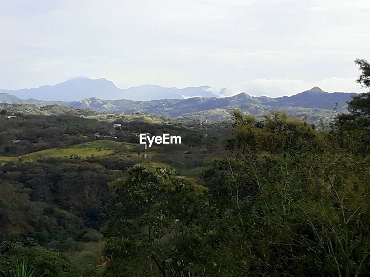 SCENIC VIEW OF TREES AND MOUNTAINS AGAINST SKY