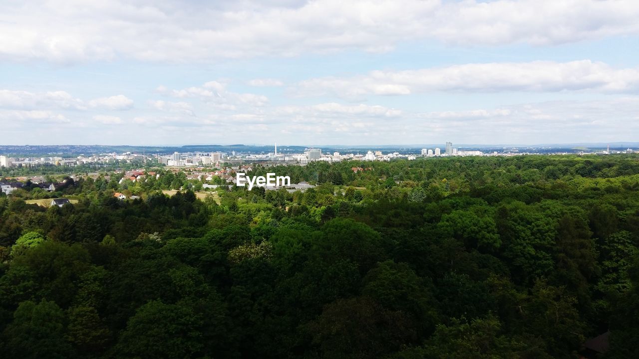 HIGH ANGLE VIEW OF TREES AND BUILDINGS AGAINST SKY