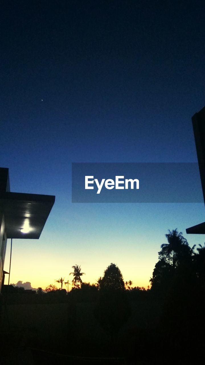 SILHOUETTE OF TREES AGAINST SKY AT NIGHT