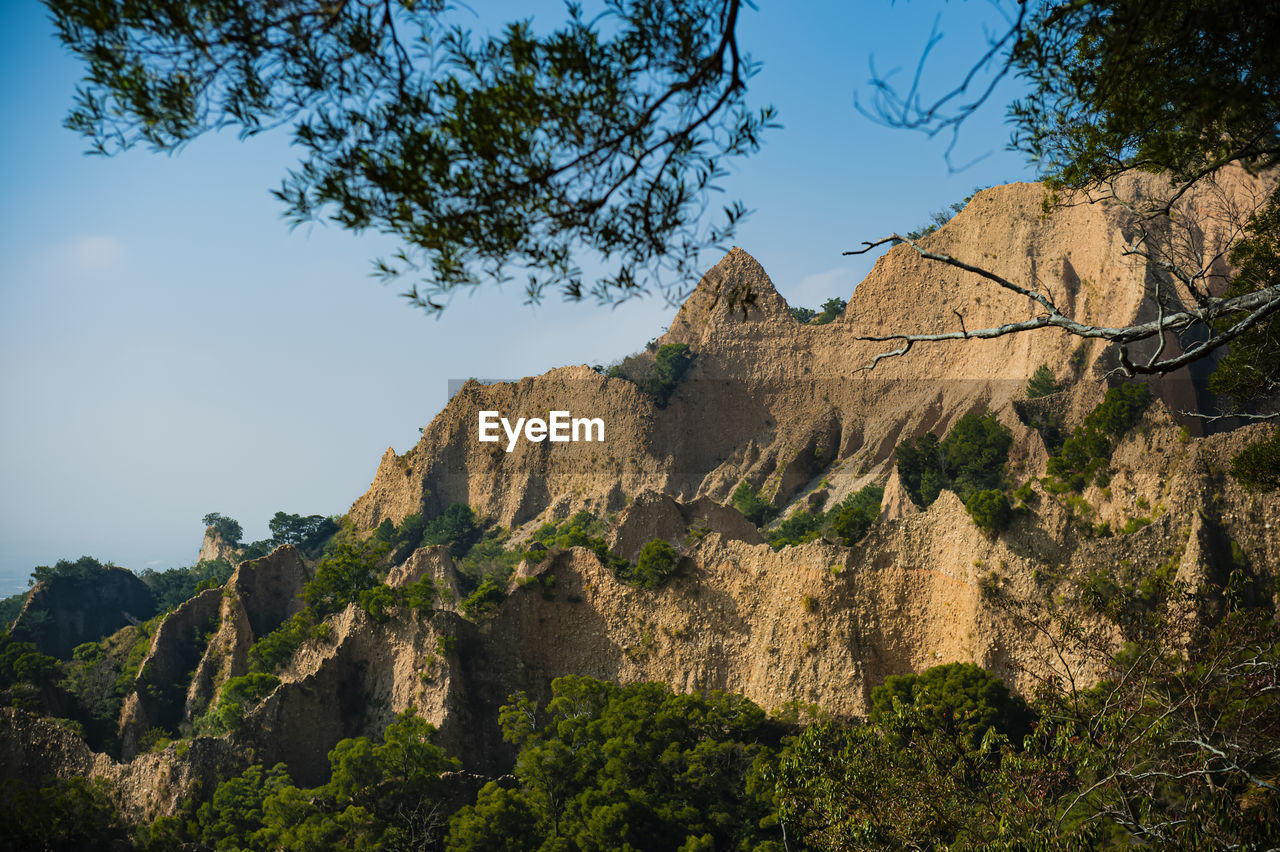 LOW ANGLE VIEW OF PLANTS AGAINST MOUNTAIN