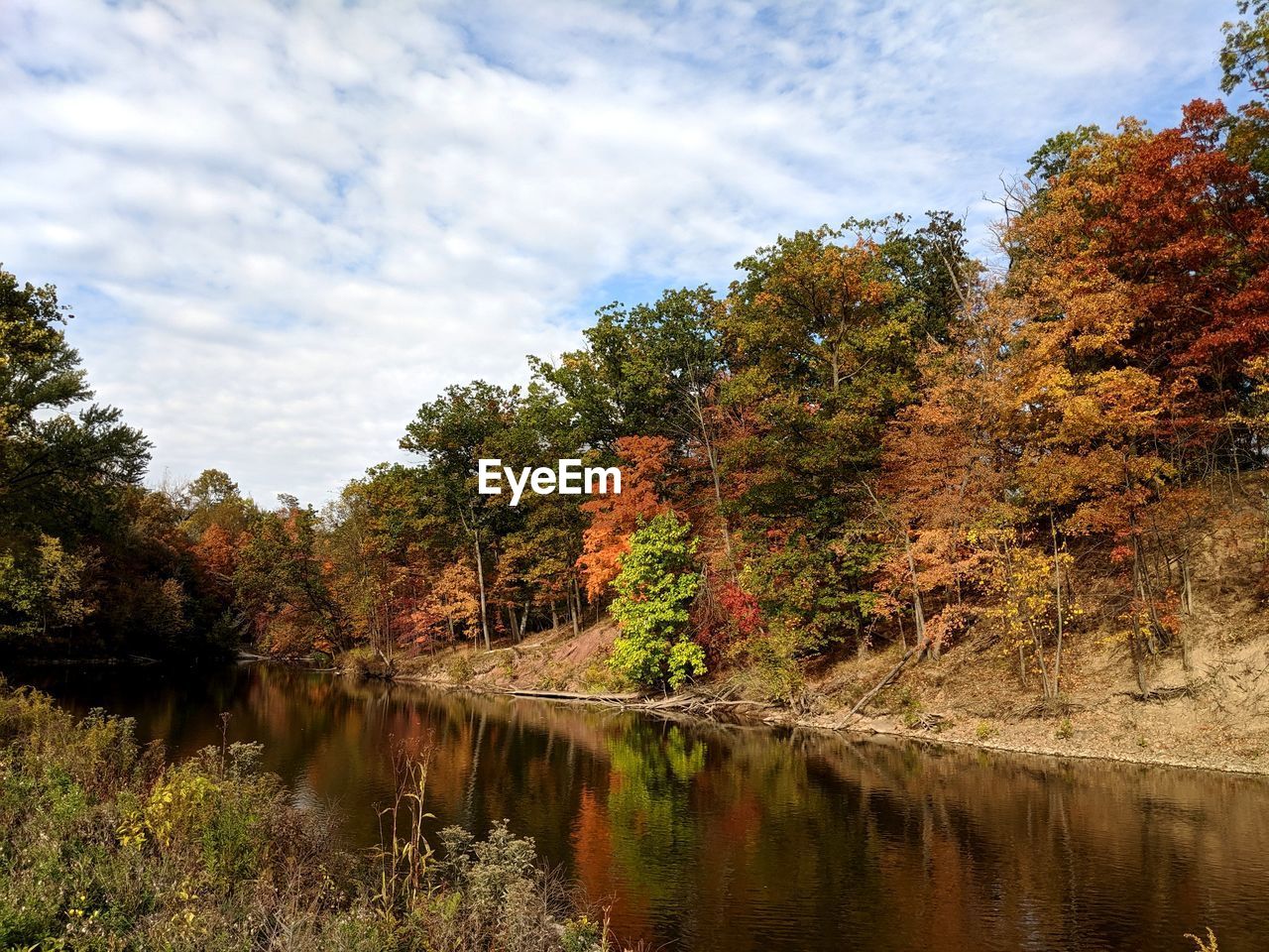 PLANTS BY LAKE AGAINST SKY DURING AUTUMN