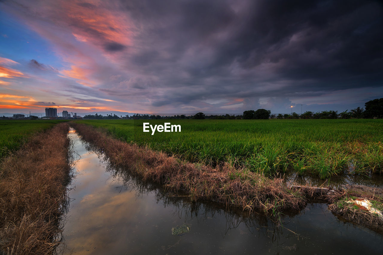 Scenic view of field against sky during sunset