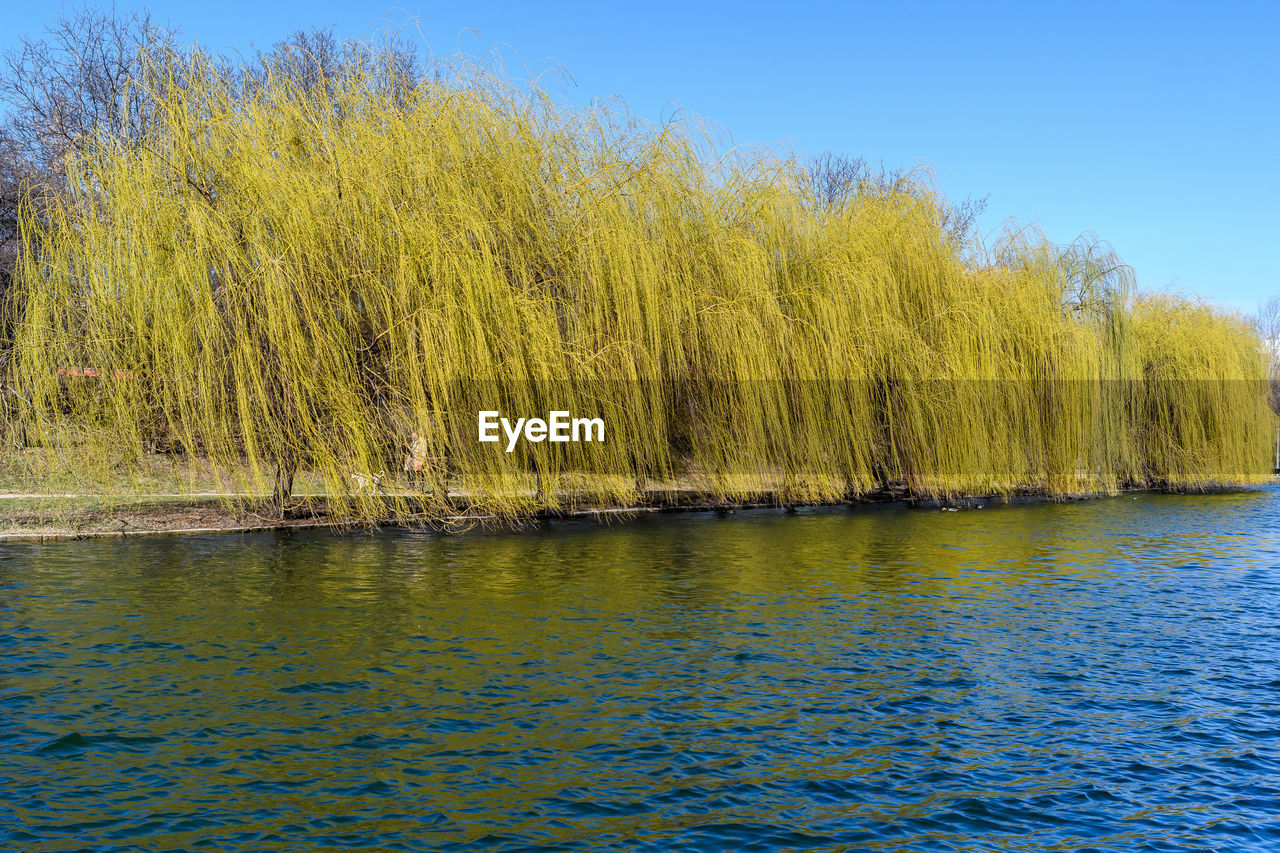 SCENIC VIEW OF LAKE AGAINST CLEAR SKY