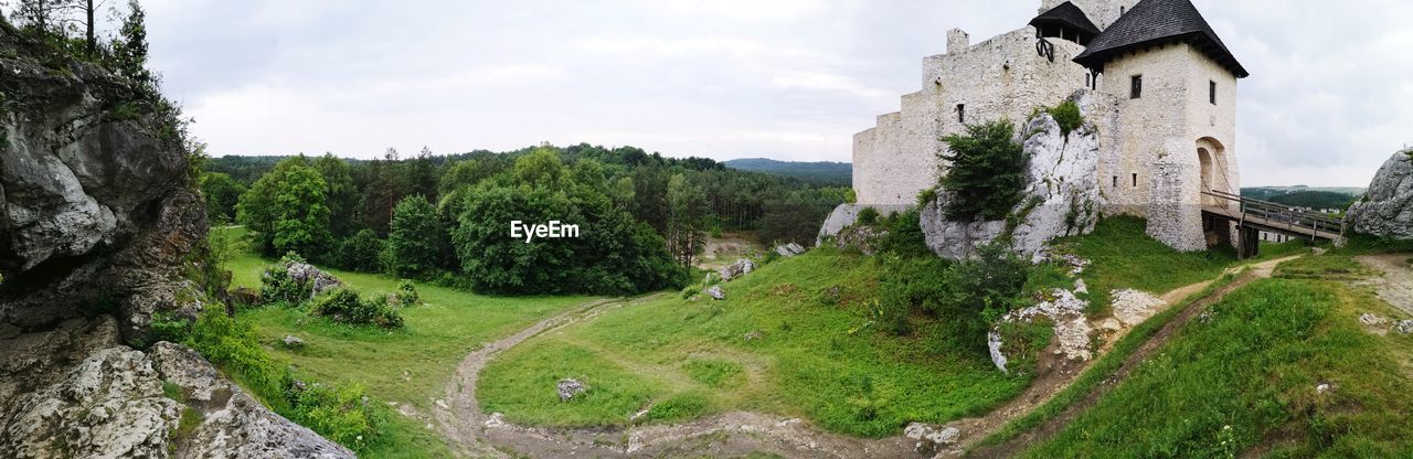 PANORAMIC SHOT OF TREES ON LANDSCAPE