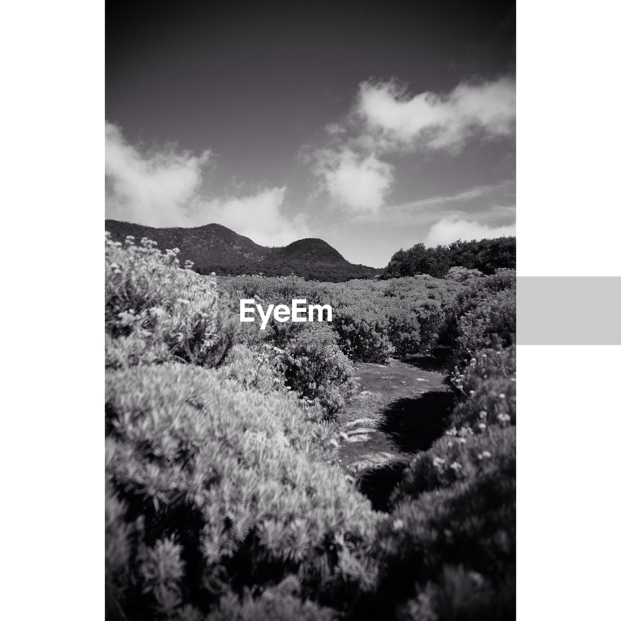 Low angle view of mountain landscape