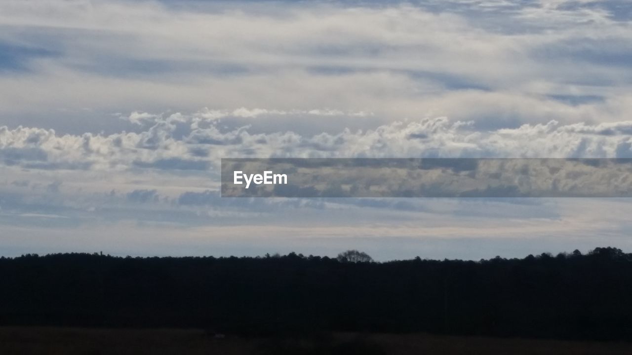 SCENIC VIEW OF SILHOUETTE TREES AGAINST SKY