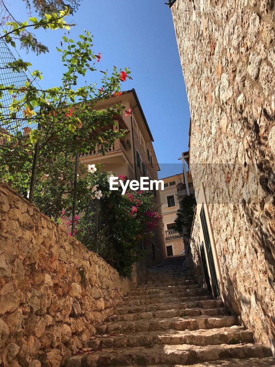 LOW ANGLE VIEW OF ALLEY AMIDST BUILDINGS