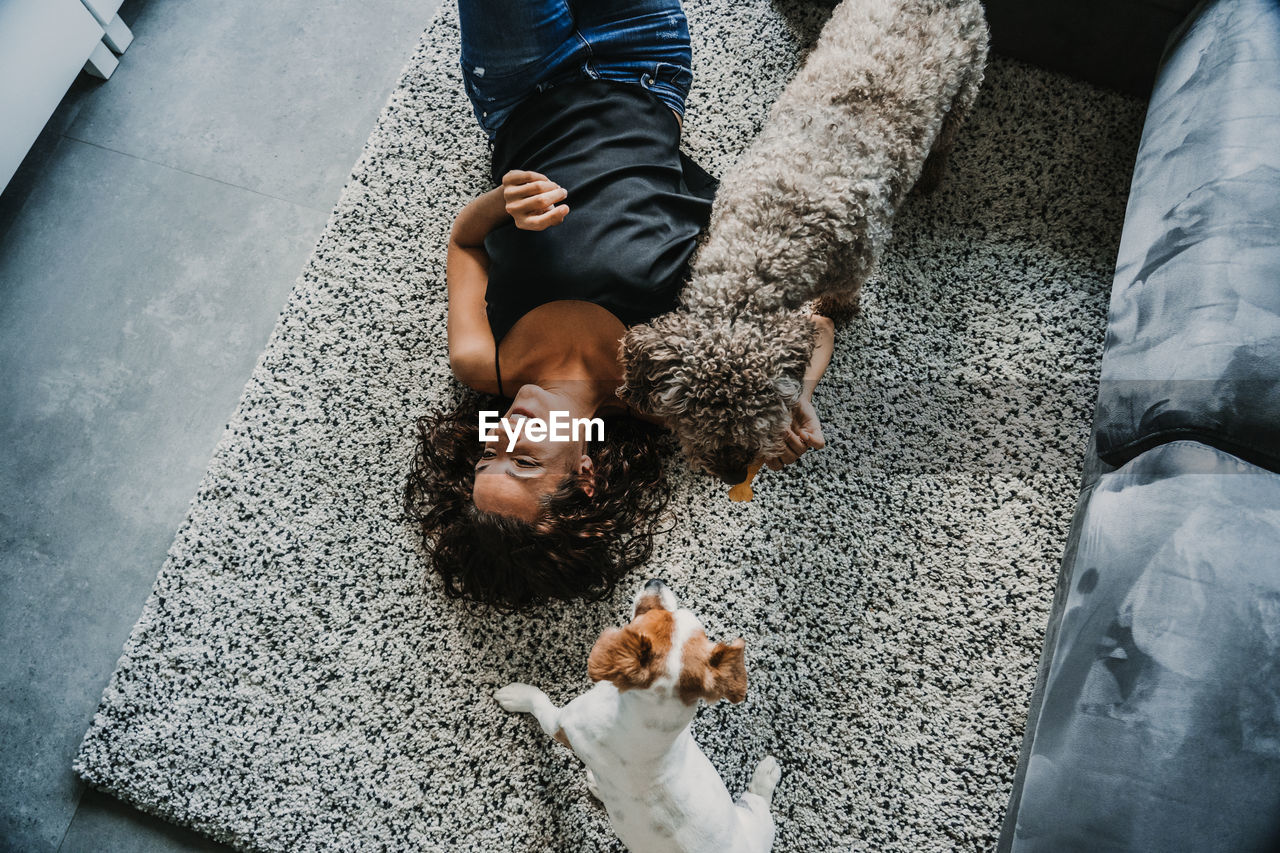 High angle view of woman and dogs on floor