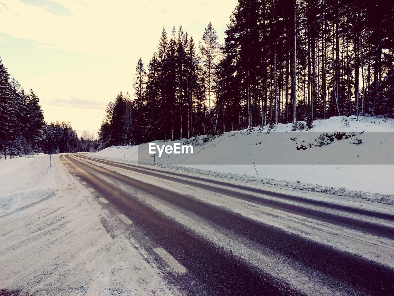 SNOW COVERED ROAD BY TREES AGAINST SKY DURING WINTER