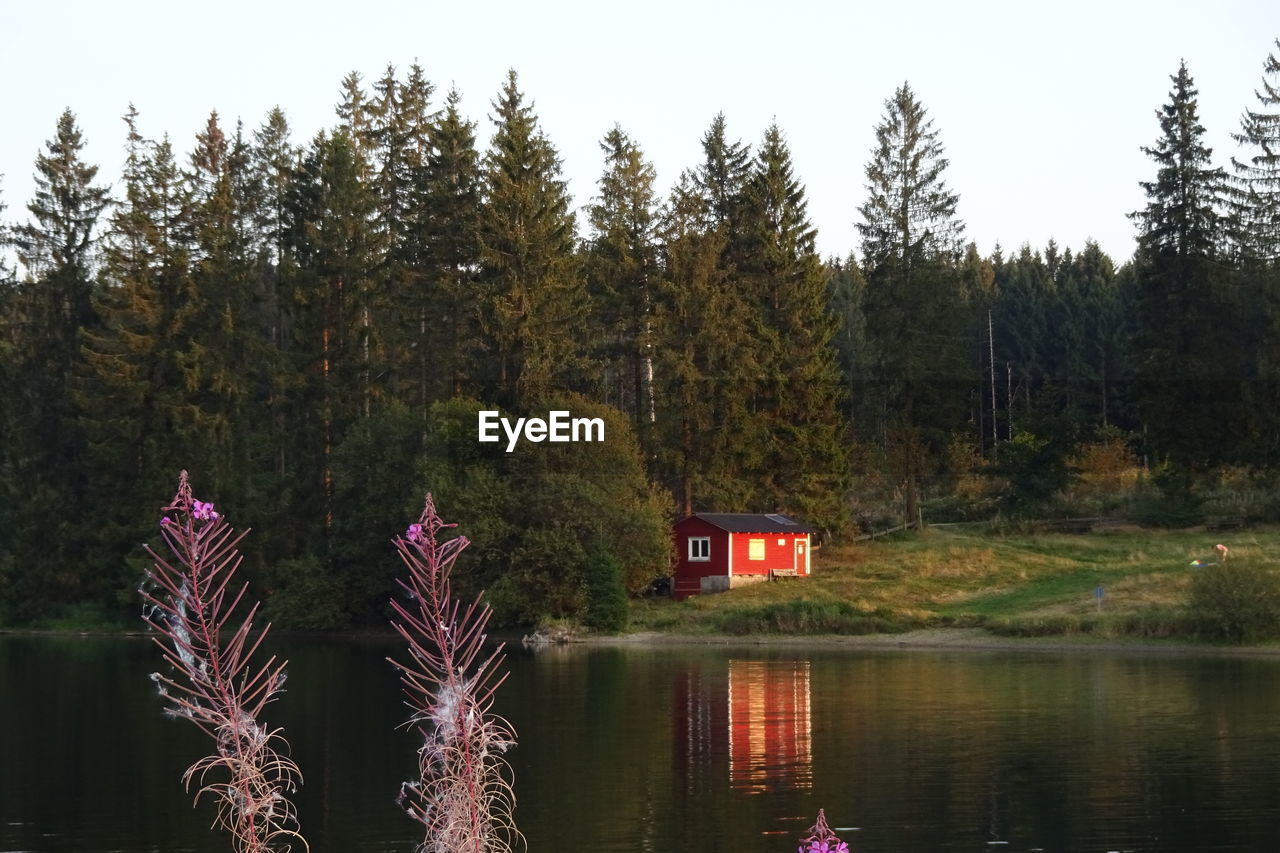 Scenic view of lake by trees against sky