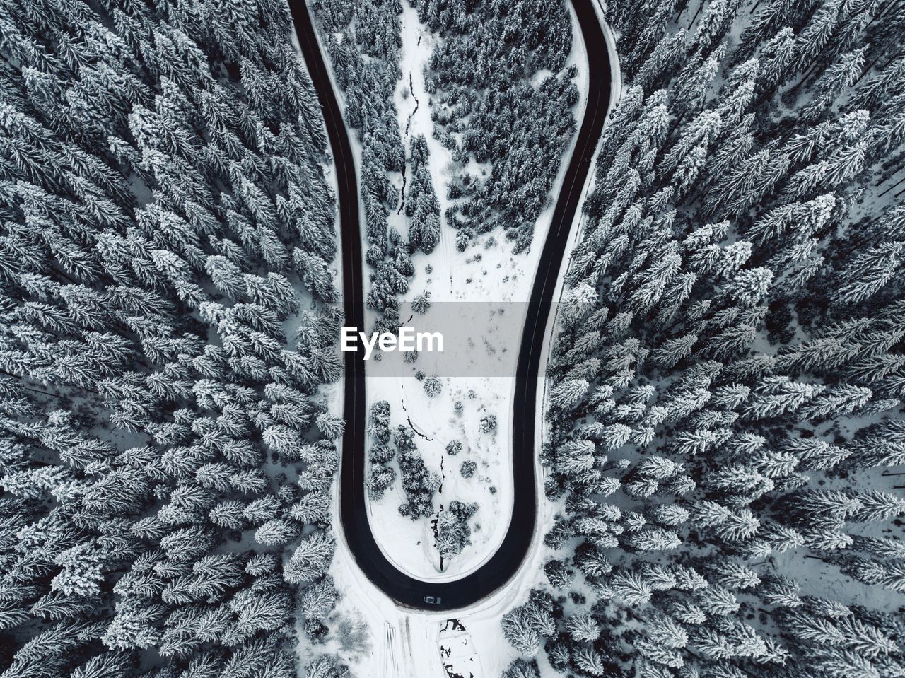 View of snow covered road