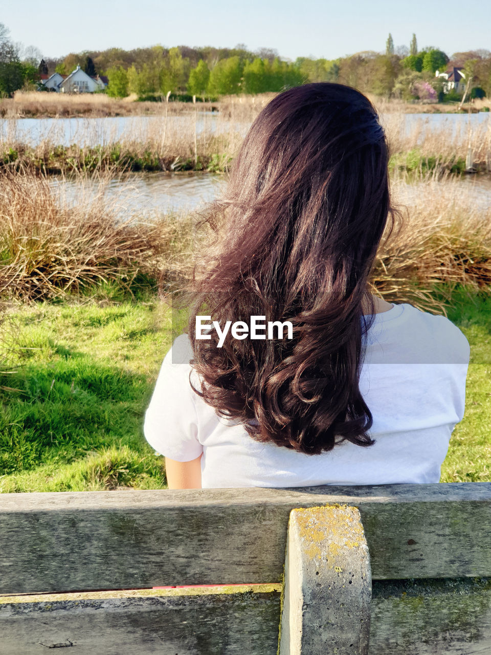 Rear view of woman sitting in park