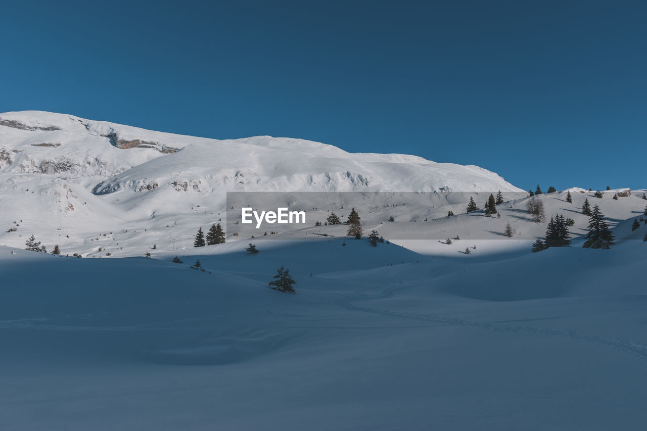 A picturesque landscape view of the french alps mountains and tall pine trees covered in snow