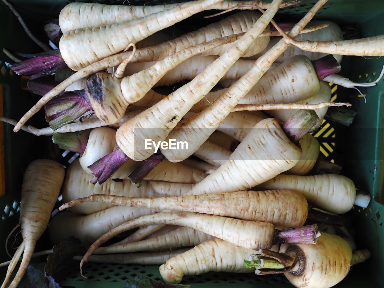 Close-up high angle view of radishes