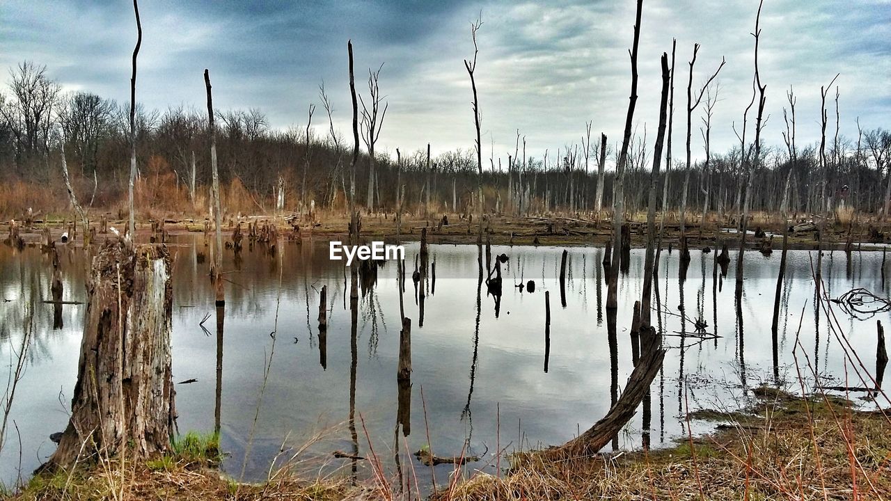 SCENIC VIEW OF LAKE AGAINST SKY