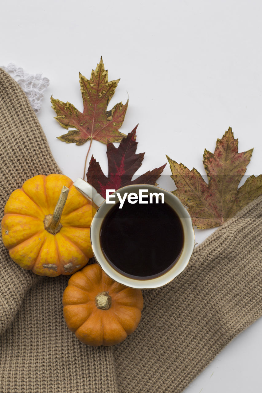 food and drink, autumn, leaf, plant part, food, no people, studio shot, still life, freshness, flower, nature, drink, yellow, cup, mug, produce, healthy eating, maple leaf, high angle view, indoors, wellbeing, pumpkin, plant, refreshment, tea