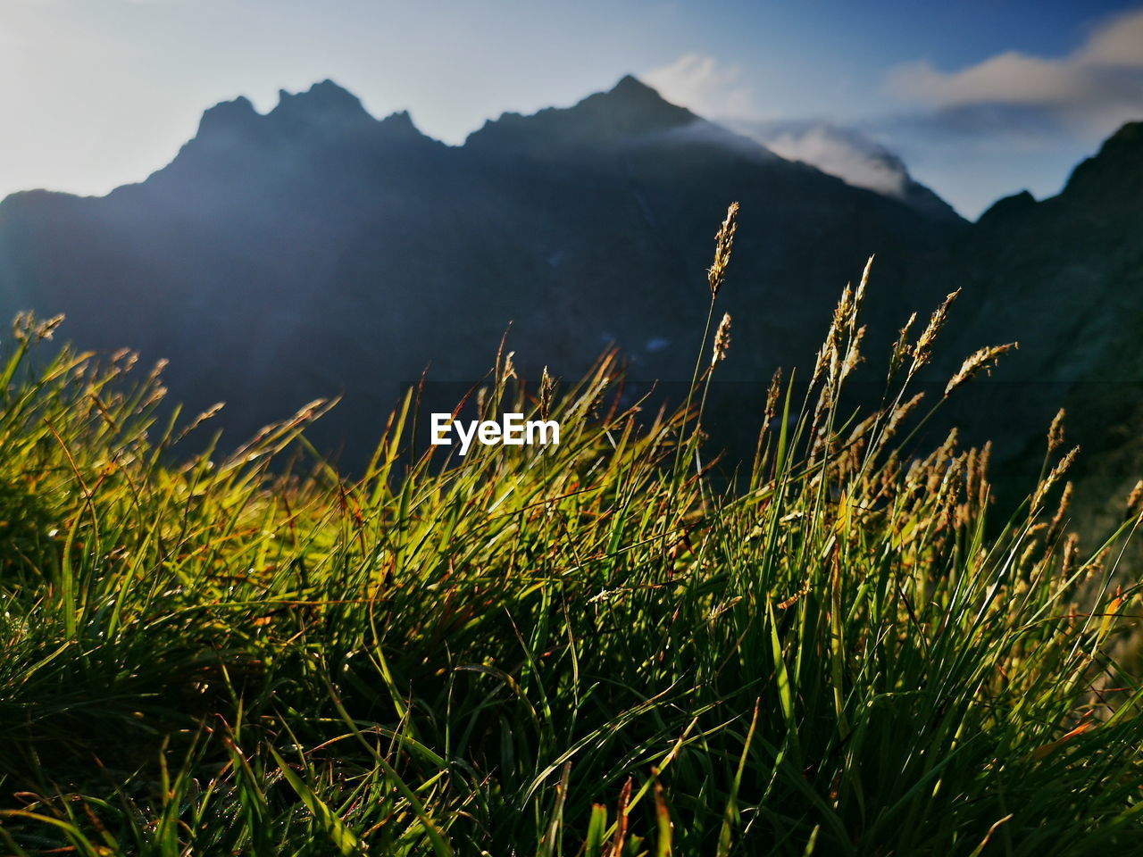 A view of rysy in the morning. poland tatra mountains zakopane vacation.