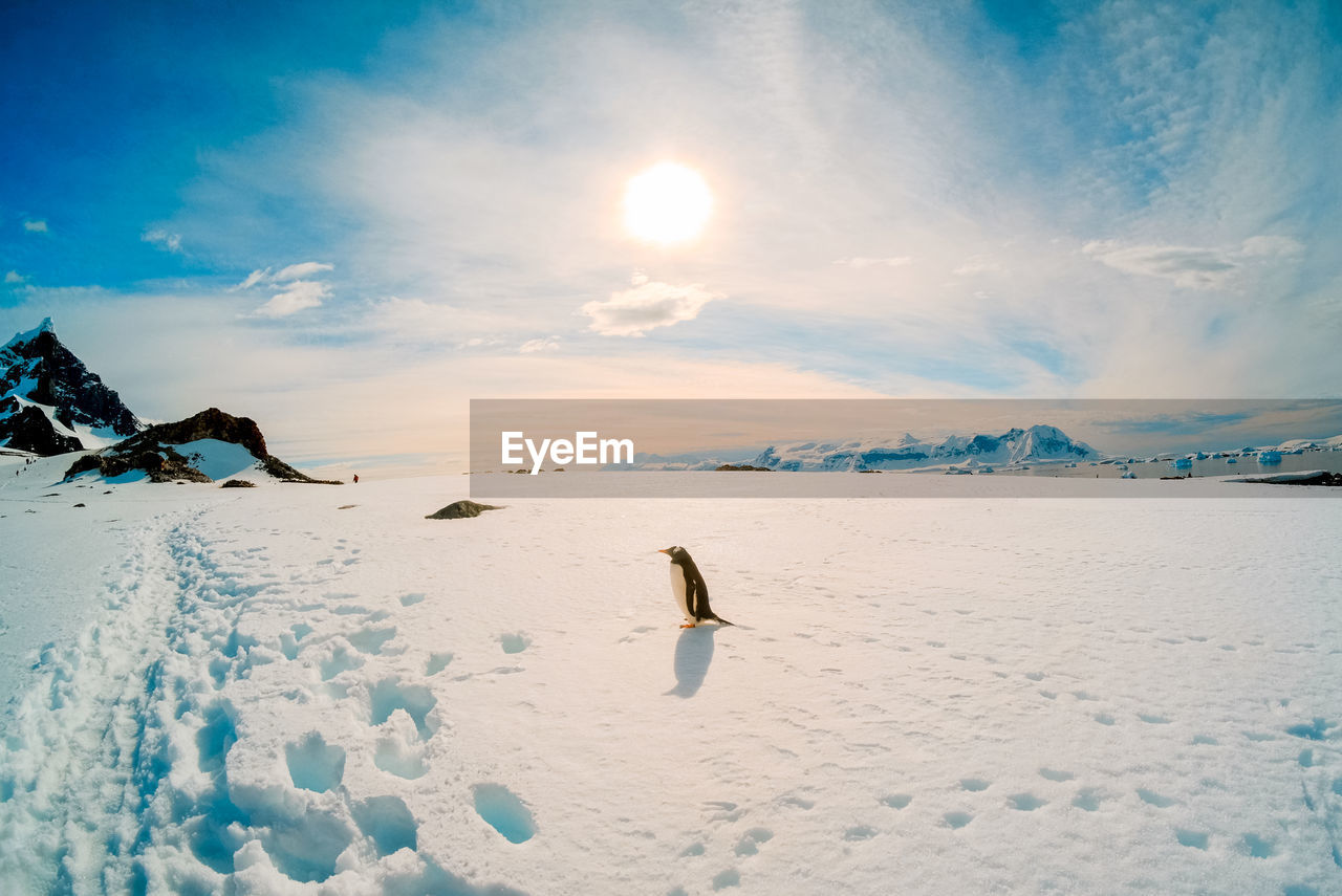 Scenic view of snow covered landscape against sky