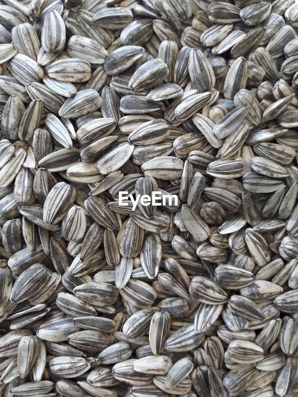 Full frame shot of sunflower seeds