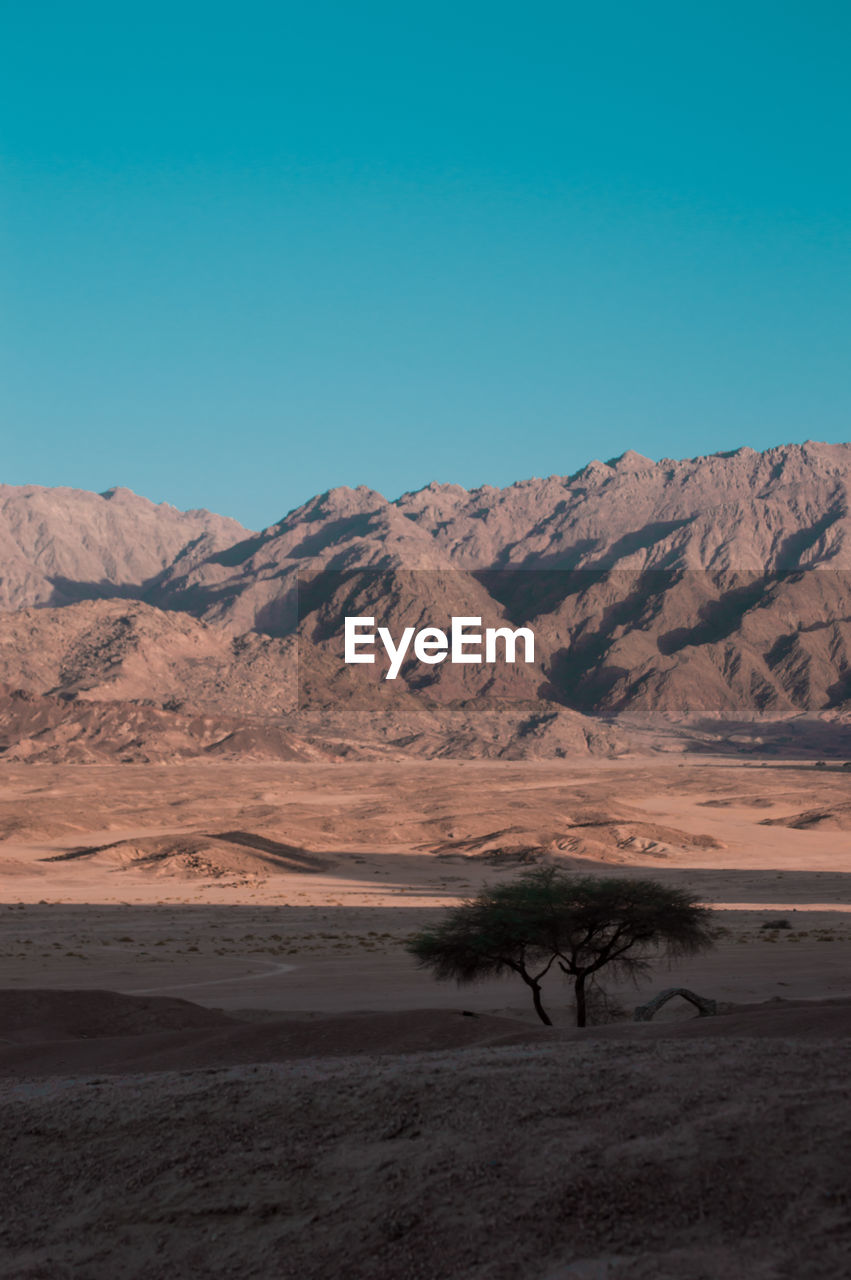Scenic view of desert against clear blue sky