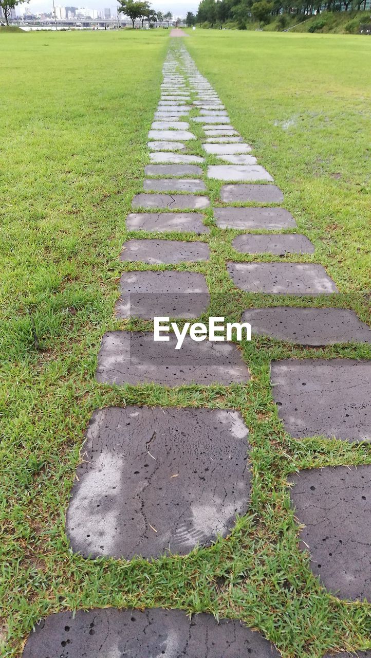 HIGH ANGLE VIEW OF FOOTPATH AMIDST GRASS