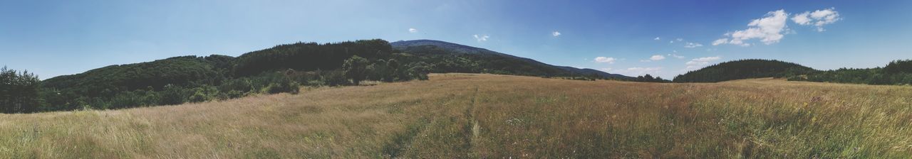 PANORAMIC VIEW OF LANDSCAPE AGAINST SKY