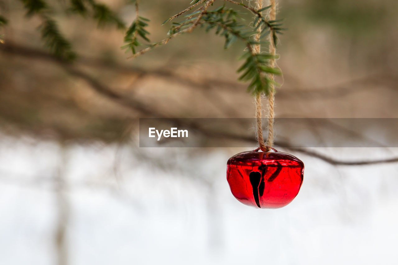 Close-up of christmas decoration hanging on tree