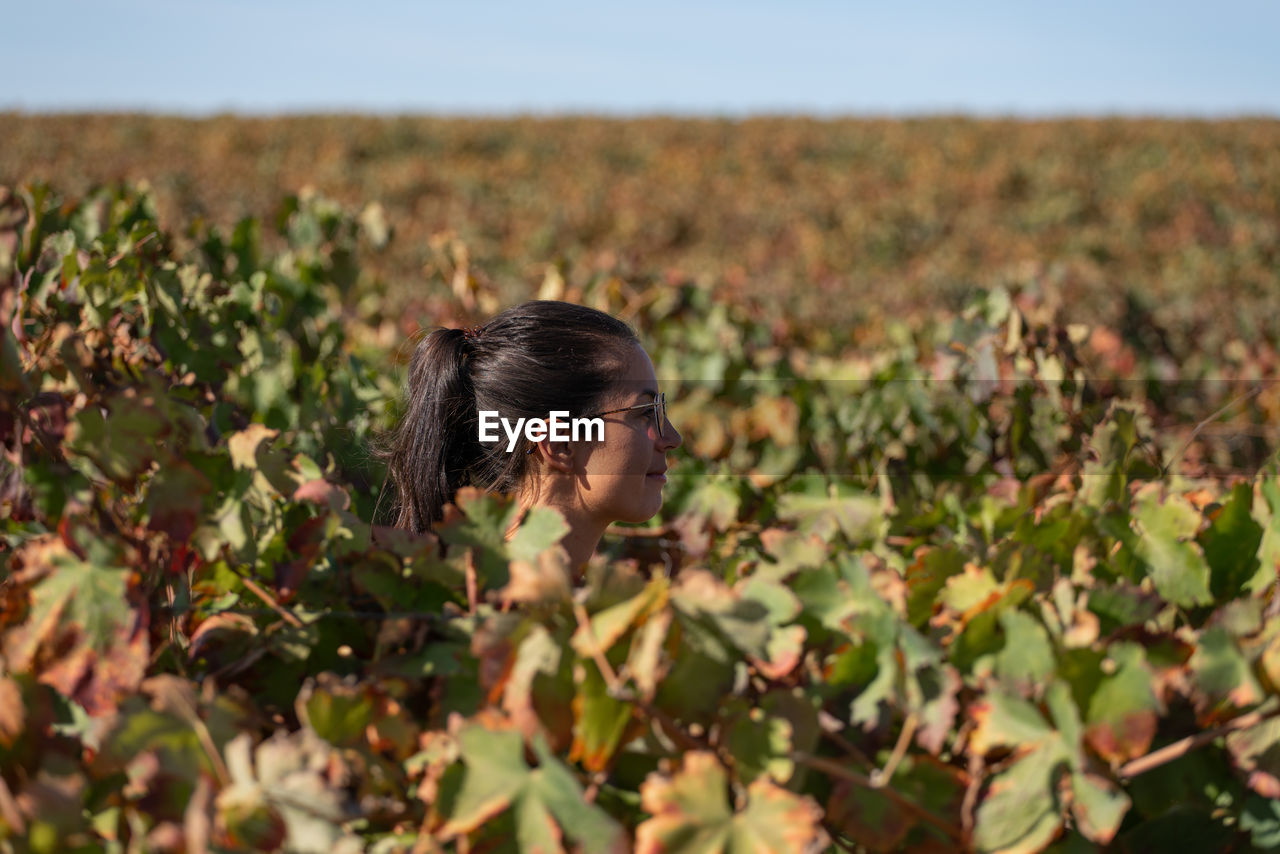 Caucasian woman head in the middle of vineyard grape vines in autumn with yellow and red leaves
