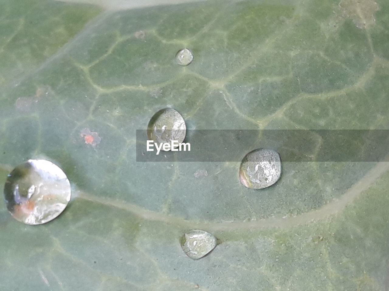 HIGH ANGLE VIEW OF WATER IN SHALLOW