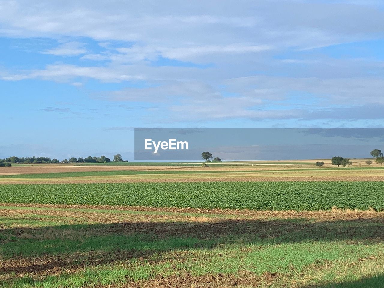 AGRICULTURAL FIELD AGAINST SKY