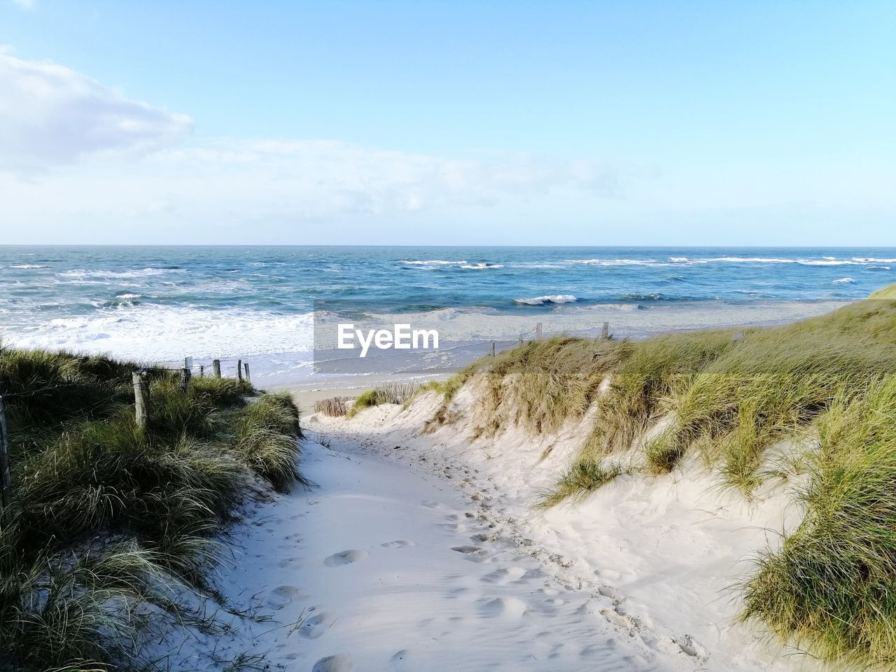 Scenic view of beach 