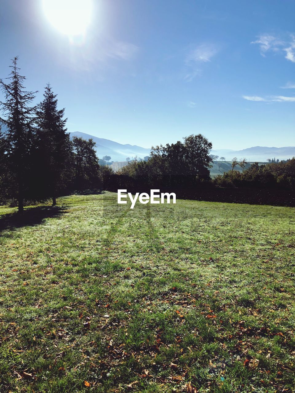 SCENIC VIEW OF LAND AGAINST SKY