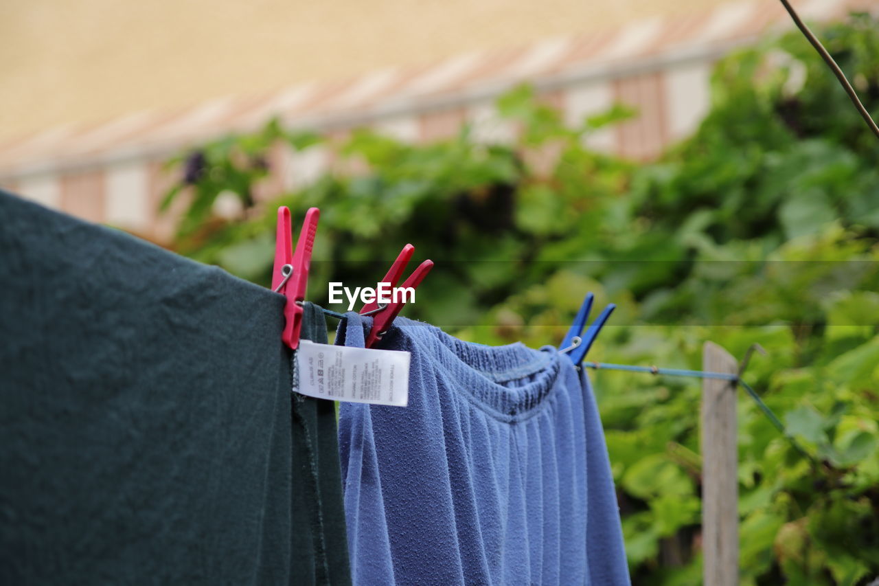Close-up of clothes drying on clothesline