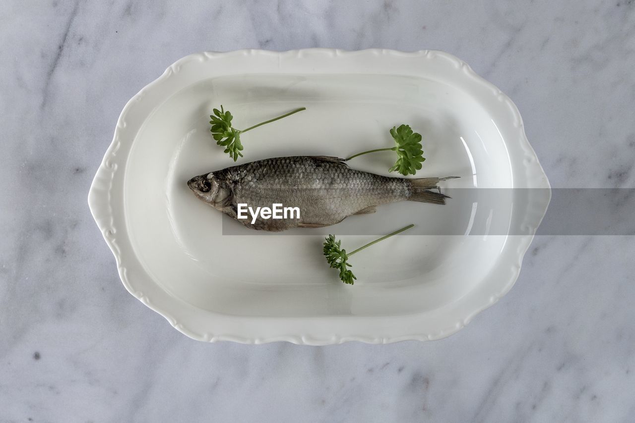 HIGH ANGLE VIEW OF FISH IN PLATE WITH SPOON