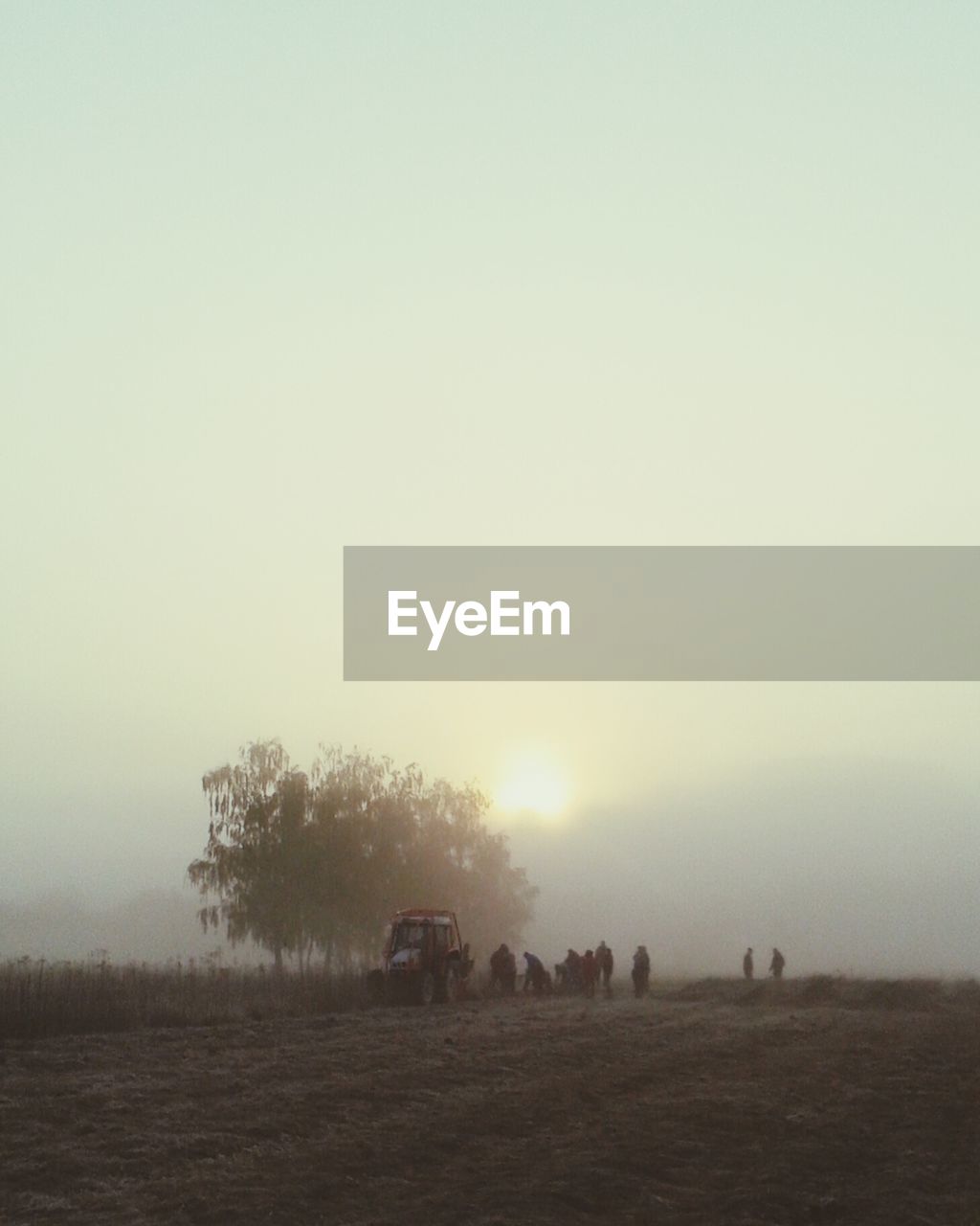 Workers working on field against sky during sunrise