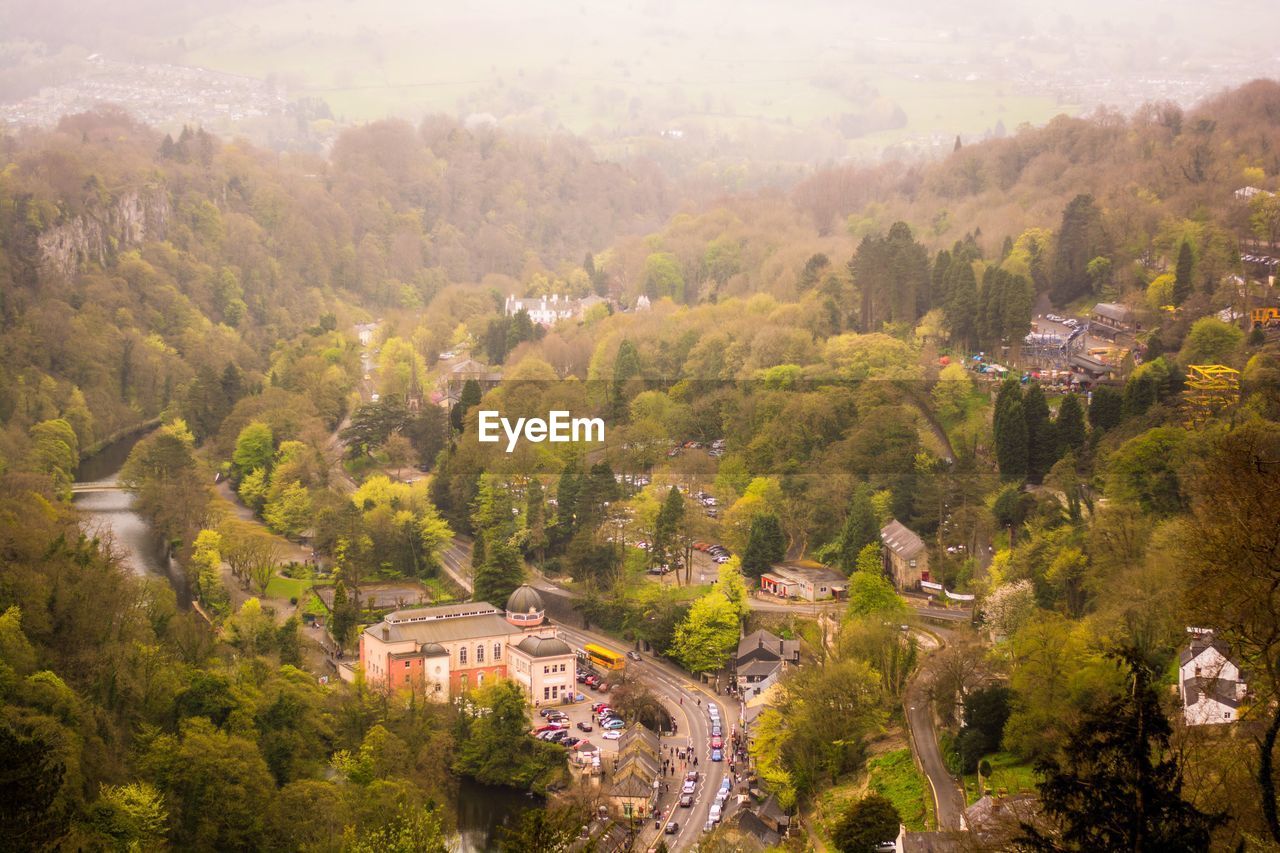 HIGH ANGLE VIEW OF TREES IN CITY