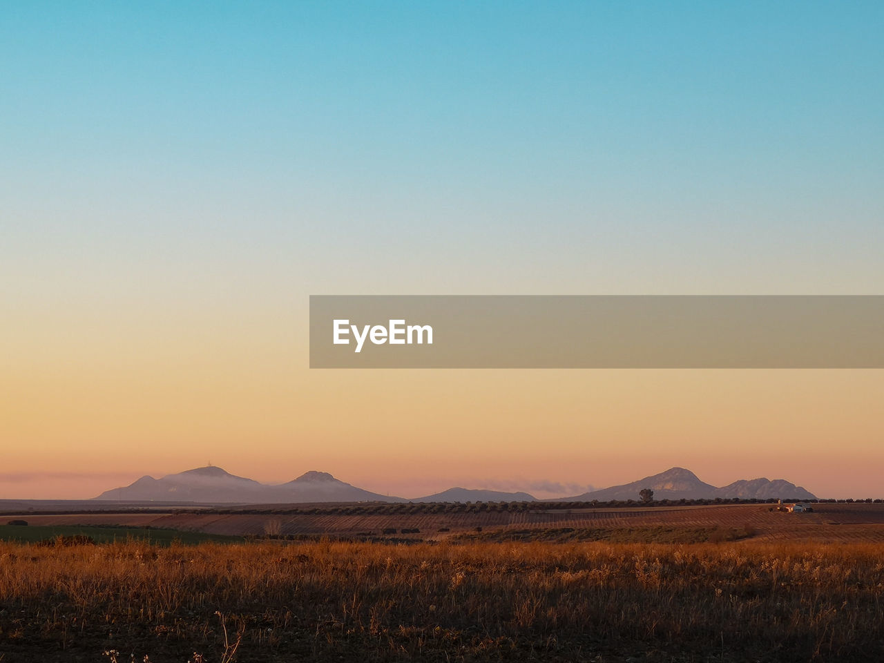 Scenic view of field against sky during sunset