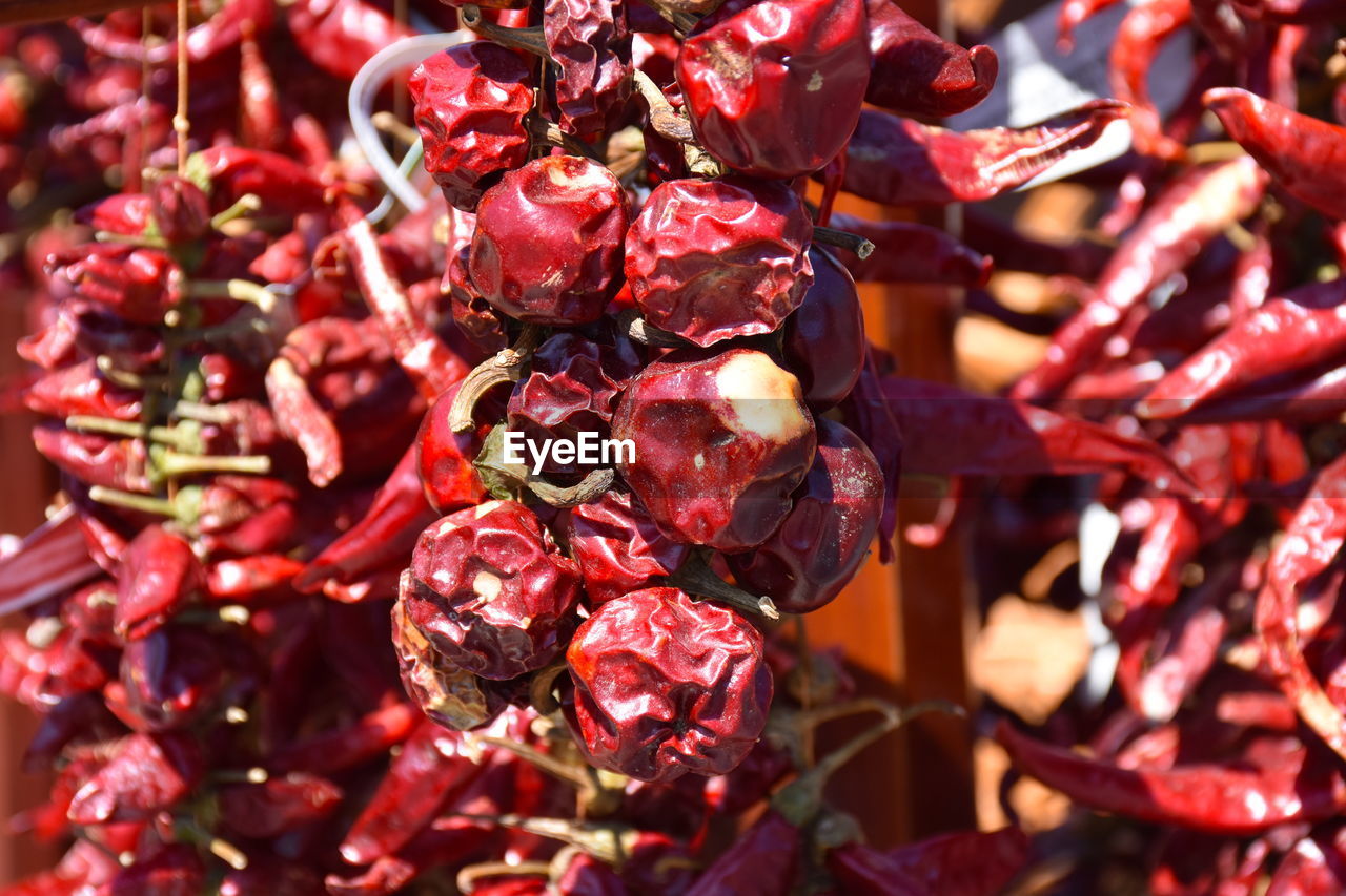 Close-up of red chili peppers