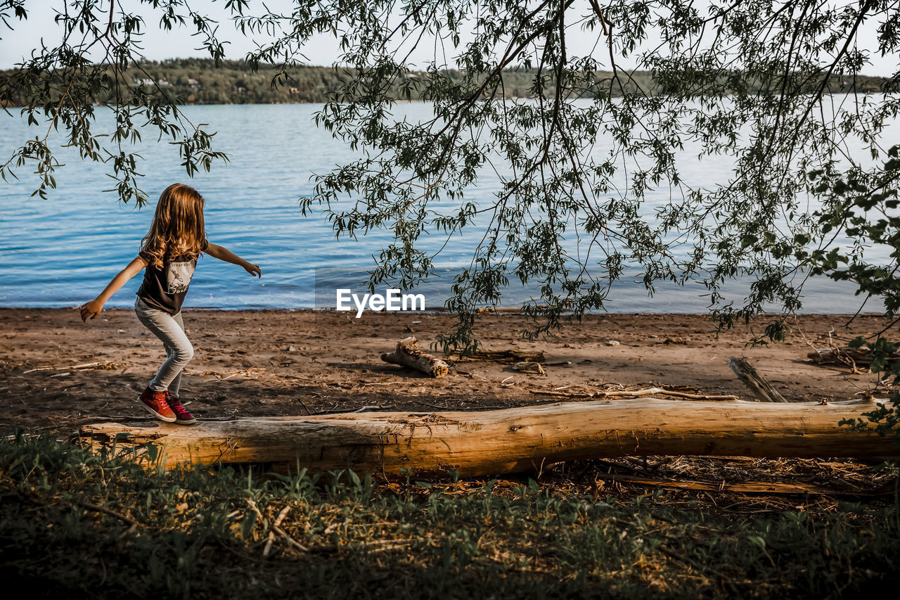 Girl walking on a dead trunk by the beach