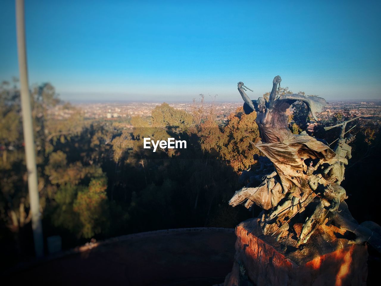 CLOSE-UP OF DEAD TREE AGAINST CLEAR SKY