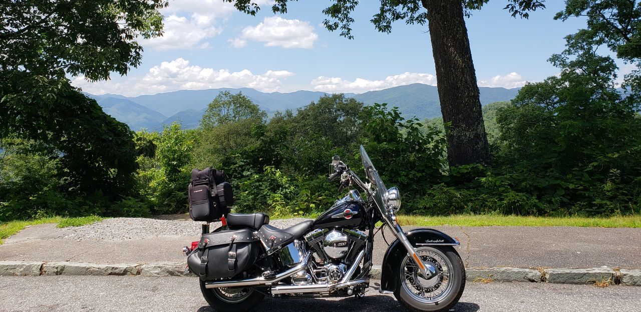 MOTORCYCLE ON ROAD AGAINST TREES