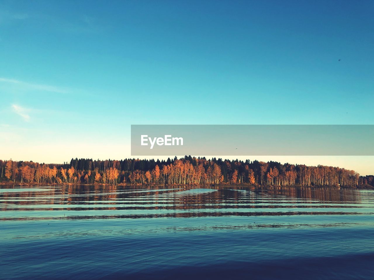 Scenic view of lake against clear blue sky