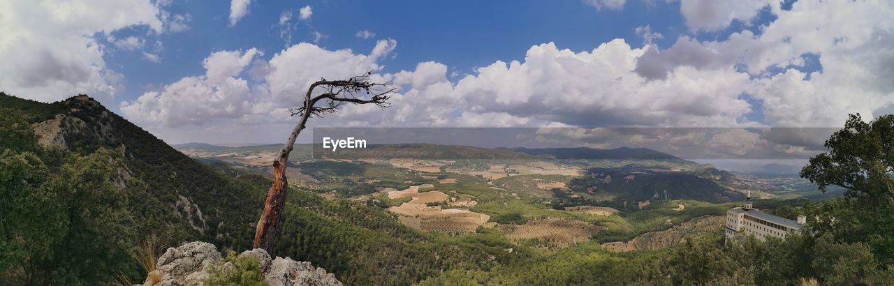 PANORAMIC VIEW OF TREES AND MOUNTAINS AGAINST SKY