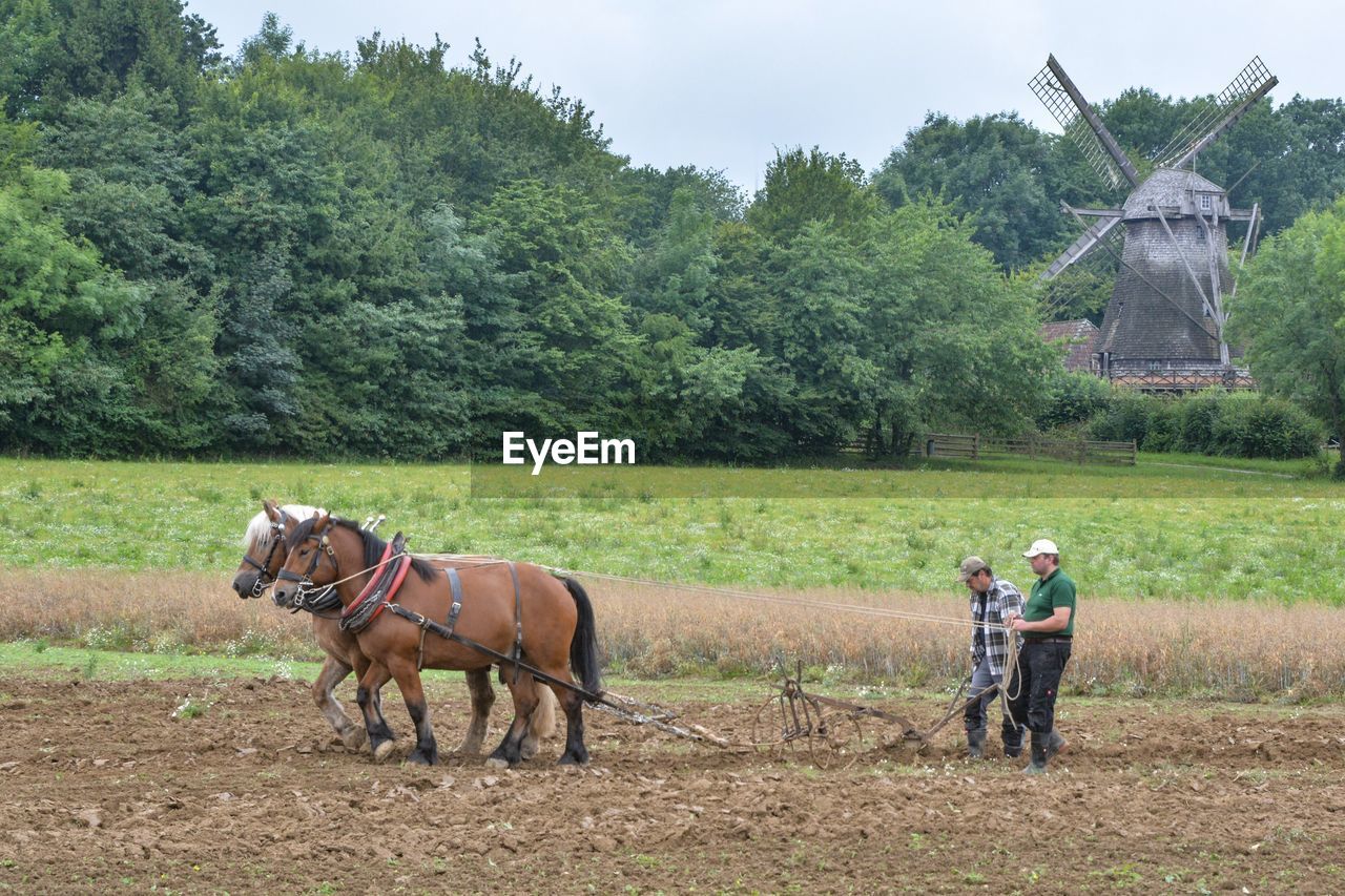 MAN STANDING ON FIELD