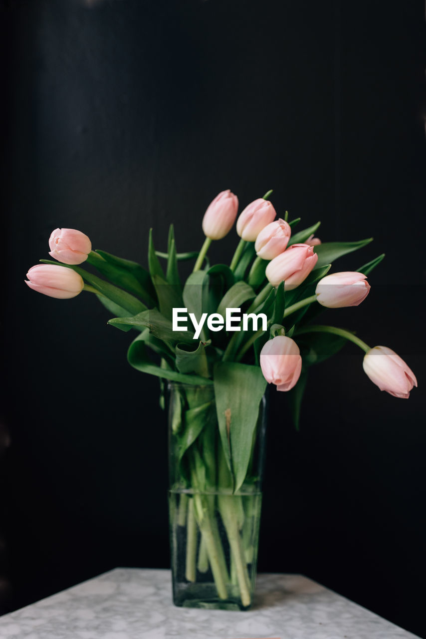 CLOSE-UP OF TULIP IN VASE ON TABLE